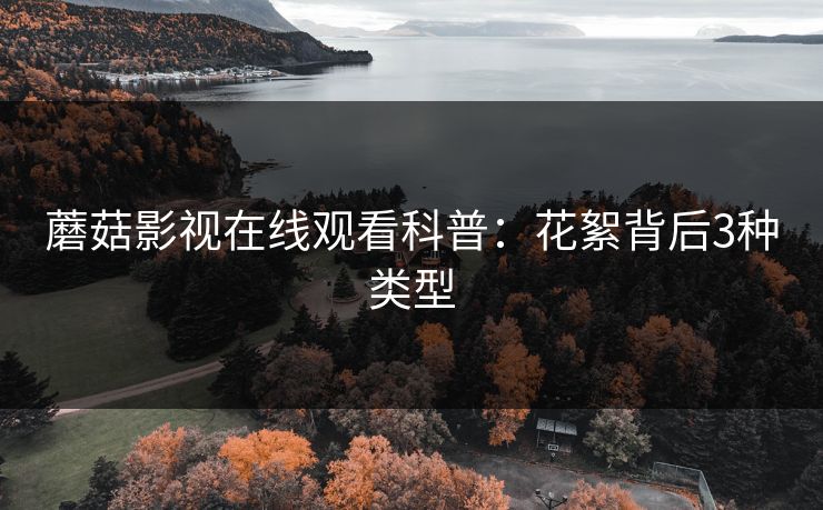 蘑菇影视在线观看科普：花絮背后3种类型