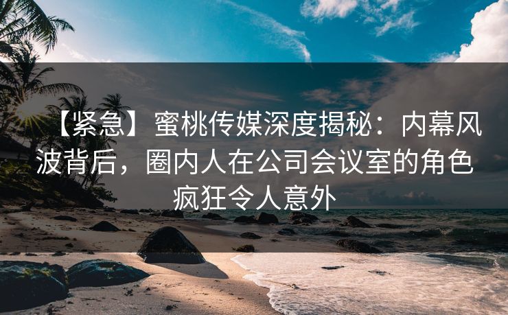 【紧急】蜜桃传媒深度揭秘：内幕风波背后，圈内人在公司会议室的角色疯狂令人意外