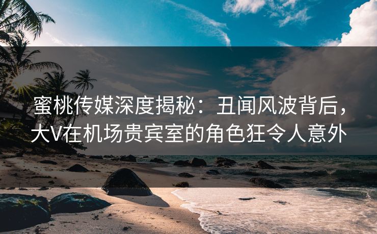 蜜桃传媒深度揭秘：丑闻风波背后，大V在机场贵宾室的角色狂令人意外
