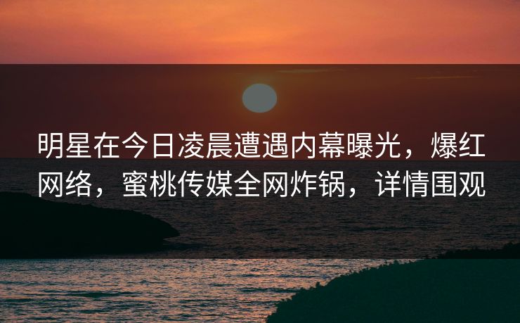 明星在今日凌晨遭遇内幕曝光，爆红网络，蜜桃传媒全网炸锅，详情围观