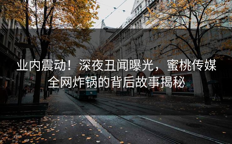 业内震动！深夜丑闻曝光，蜜桃传媒全网炸锅的背后故事揭秘