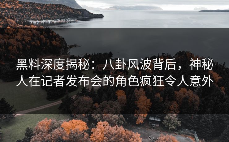 黑料深度揭秘：八卦风波背后，神秘人在记者发布会的角色疯狂令人意外