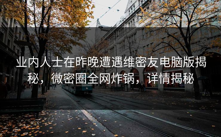 业内人士在昨晚遭遇维密友电脑版揭秘,微密圈全网炸锅,详情揭秘 业内人士在昨晚遭遇维密友电脑版揭秘,微密圈全网炸锅,详情揭秘